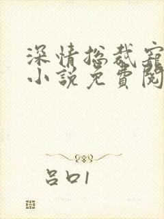 深情总裁宠不停小说免费阅读