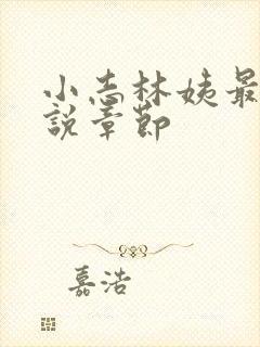 小志林姨最新小说章节封面