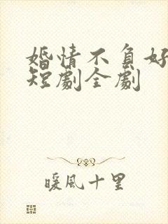 婚情不负好春光短剧全剧封面