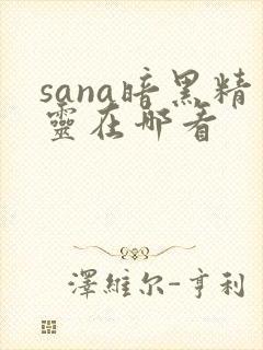 sana暗黑精灵在哪看封面