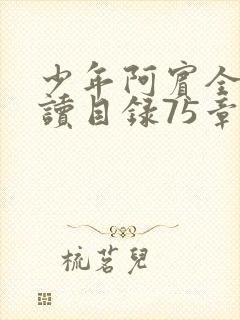 少年阿宾全文阅读目录75章笔趣阁