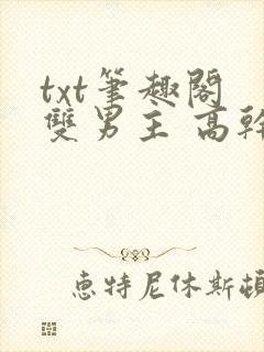 txt笔趣阁 双男主 高干