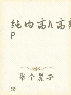 纯肉高h高辣np封面