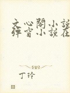 文心阁小说_无弹窗小说在线免费阅读
