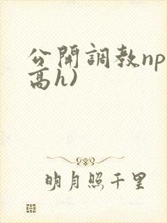 公开调教np(高h)
