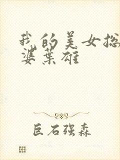 我的美女总裁老婆叶雄封面