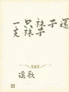 一只袜子还是一支袜子封面