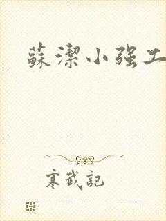 苏洁小强工地情