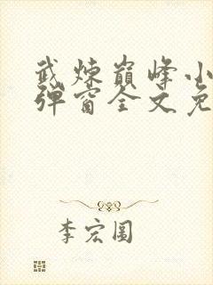 武炼巅峰小说无弹窗全文免费阅读