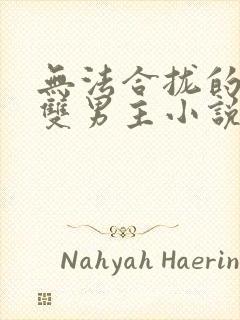 无法合拢的总裁双男主小说