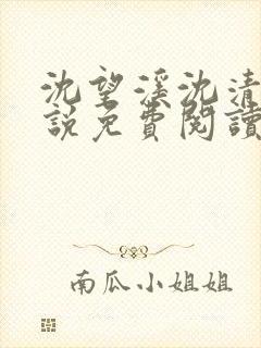 沈望溪沈清若小说免费阅读最新章节封面