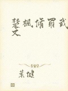 楚枫修罗武神全文