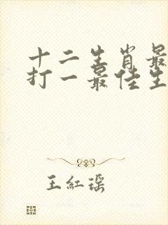 十二生肖最实际打一最佳生肖