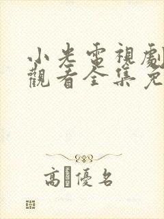 小光电视剧在线观看全集免费高清封面