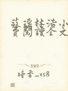 苏瑶林浩小说免费阅读全文最新章节封面