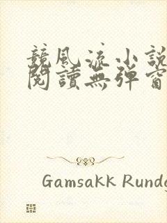 竞风流小说全文阅读无弹窗免费