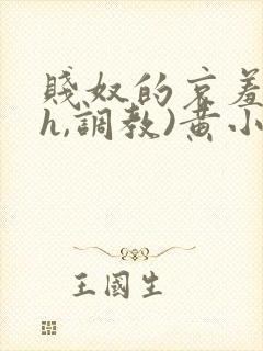 贱奴的哀羞(高h,调教)黄小洁小说