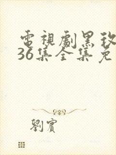 电视剧黑玫瑰第36集全集免费观看封面