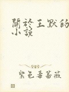 关于王默的失忆小说