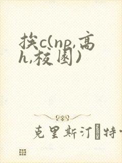 挨c(np,高h,校园)