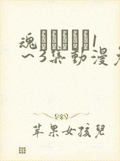 魂インサート1～3集动漫免费播放