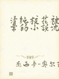 清纯校花被擒日常的小说沈柔