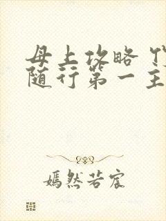 母上攻略 竹影随行第一主板封面