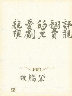 亲爱的翻译官电视剧免费观看全集免费策驰