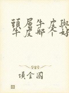 头层牛皮与二层牛皮哪个好?