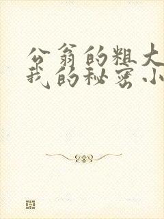 公翁的粗大放进我的秘密小说