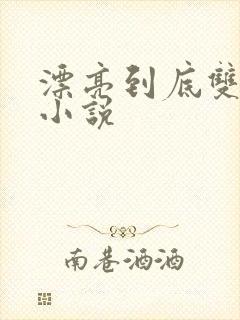 漂亮到底双男主小说