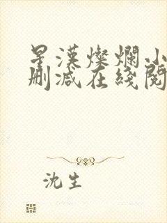 星汉灿烂小说无删减在线阅读