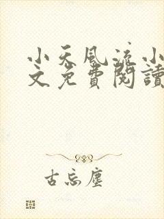 小天风流小说全文免费阅读无弹窗