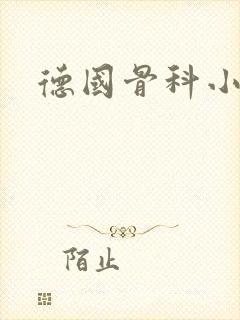 德国骨科小说封面