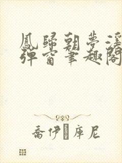 凤归朝梦溪石无弹窗笔趣阁