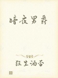 暗夜男爵封面