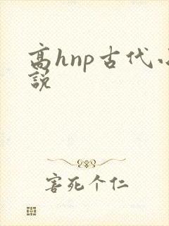 高hnp古代小说封面