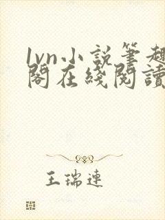 1vn小说笔趣阁在线阅读