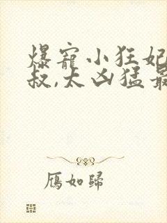 爆宠小狂妃:皇叔,太凶猛最新章节