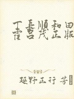 丁长顺和田晓兰霍吕茂正版封面