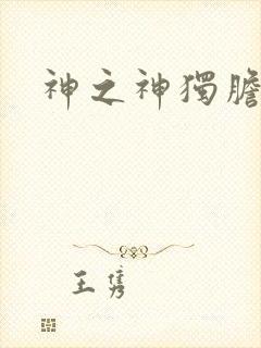 神之神独胆王封面