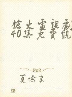 枪火电视剧1至40集免费观看