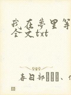 我在梦里等花开全文txt