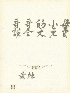 哥哥的小母狗小说全文免费阅读笔趣阁封面