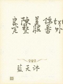 良陈美锦txt完整版番外封面