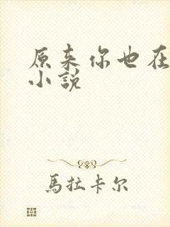 原来你也在这里小说