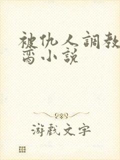 被仇人调教成禁脔小说