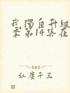 我独自升级第二季第14集在线观看