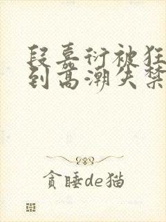 段嘉衍被狂c躁到高潮失禁封面