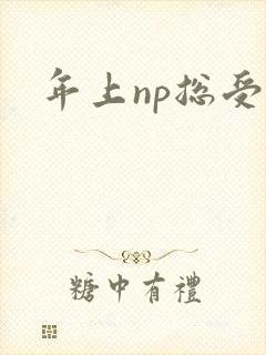年上np总受